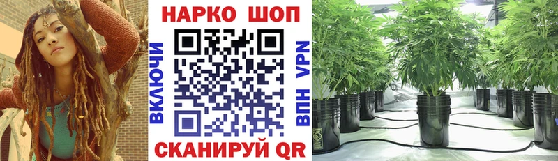 Купить наркотики цена Щёкино Гашиш  Cocaine  МЕФ  Конопля 