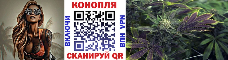 купить закладку  Щёкино  Бошки Шишки SATIVA & INDICA 